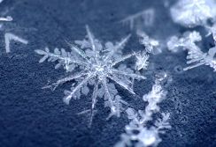 Flocon de neige