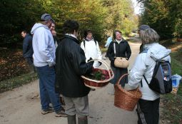 Sortie nature et découverte dirigée par la SMR