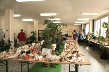 Exposition mycologique d‘Epernay